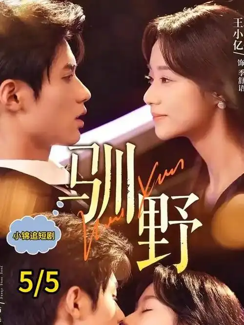 四月的信治愈剧集